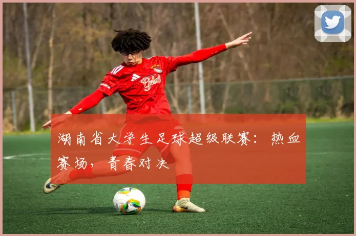 湖南省大学生足球超级联赛：热血赛场，青春对决